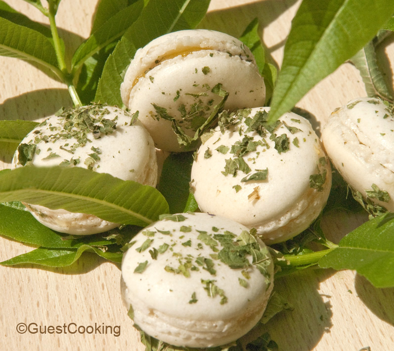 Les Nouveaux Macarons GuestCooking 